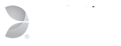 Evolution Gaming Logo